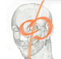 Ass. Medici Endocrinologi